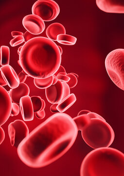 Red Blood Cells in 3D Rendering