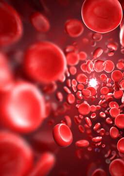 Red Blood Cells in 3D Rendering