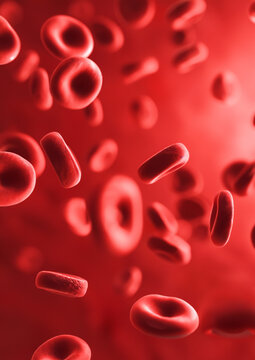Red Blood Cells in 3D Rendering