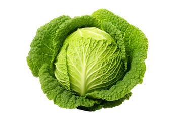 cabbage isolated on white