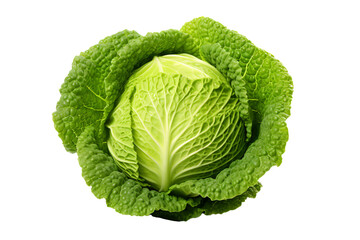 Obraz premium cabbage isolated on white
