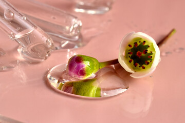 Pipettes with serum and flowers on a pink background