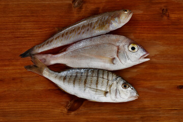 Raw  fish on table studio shot