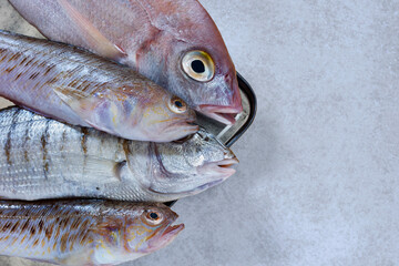 Uncooked fish studio shot