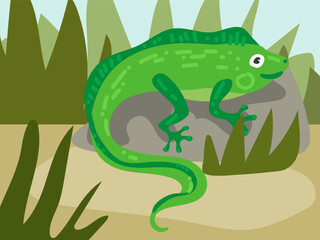 Illustration of a cartoon iguana in the grass on a stone. An illustration with a funny iguana. A green lizard at its usual place of residence. Children's illustration, printing for children's books