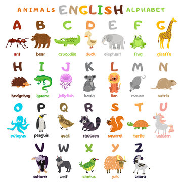 A large alphabet with cute cartoon animals to teach children. Educational illustration for preschool learning of the alphabet with the image of an animal and a letter. A set of cartoon vector