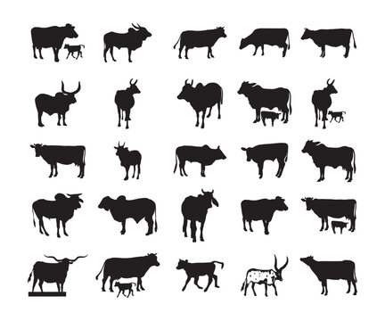 Cow EPS - Cow Silhouette - Cow Clipart  Animal Cut File - Animal Silhouette
