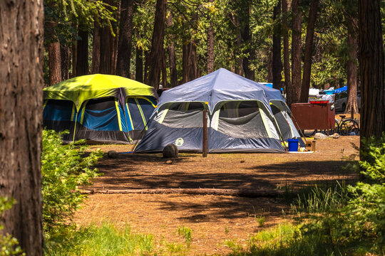 Tourist tents in the forest. Camping travel concept.
