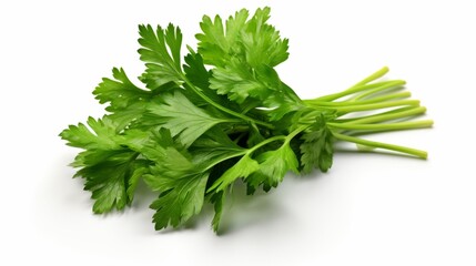 Food photography background banner - kitchen herb, coriander, isolated on white background (Generative Ai)
