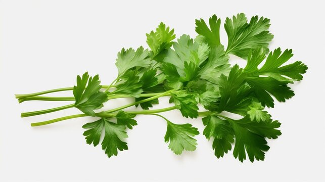 Food photography background banner - kitchen herb, parsely, isolated on white background (Generative Ai)
