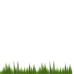 Grass Flat Illustration