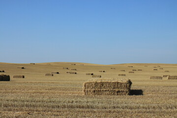 Bales of straw against the blue sky