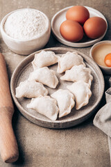 Fototapeta na wymiar Cooking homemade dumplings or ravioli. National cuisine. Home cooking, handmade.