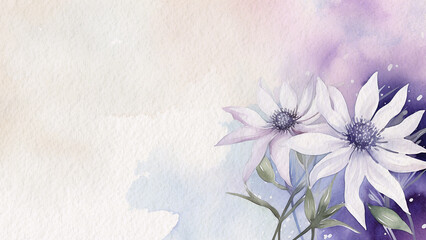 Abstract Floral Purple Flannel Flower Watercolor Background On Paper