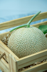 Crown Melon on wooden box on blurred background, Cantaloupe Melon fruit in wooden box on wooden table in garden.