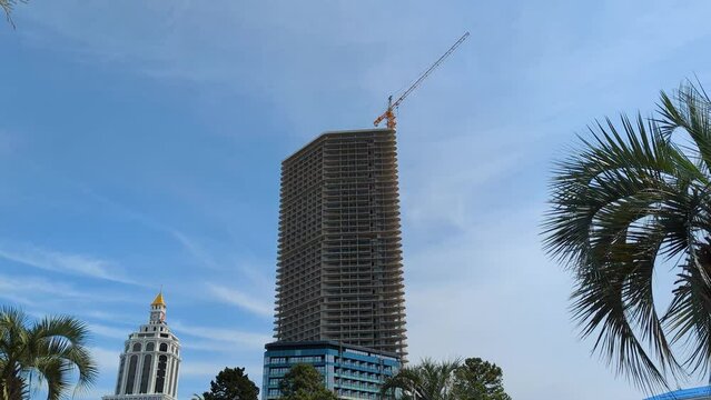 Palms and building construction time-lapse