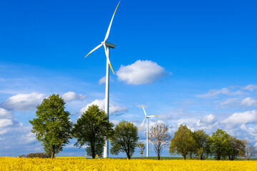Windmills in a yellow rapeseed field - 624626113