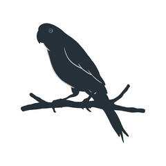 Vector illustration of a bird on a tree branch