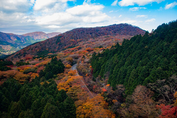 autumn landscape in Hakone Japan, driveway over the hills or mountains