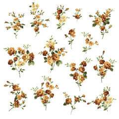A collection of rose flower materials created with an old-fashioned image,
