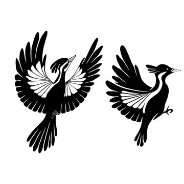 Vector set of woodpeckers silhouettes. Black stylized bird clipart isolated from background. Design elements