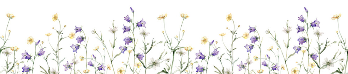 Close-up of blue spreading bellflower flowers frame. Campanula patula, bell, bluebell, rapunzel. Rabelera holostea, stellaria.Watercolor hand painting illustration. White and blue, violet flower