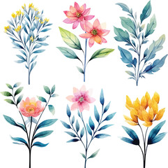 a set of watercolor flowers and leaves