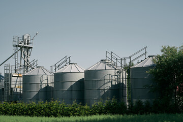 Steel grain silos stand next to a field. Agro-Industrial landscape. Steel Silos Embrace Vast Fields, Serving as Epitomes of Agricultural Storage and Processing