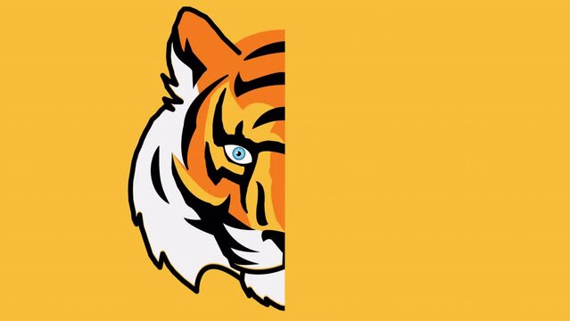Simply animated tiger head. Tiger head animation in an alpha channel at 4k 60fps. Animated tiger head is easy to use. 