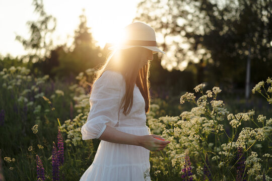 Young woman in a dress and hat in a lupine field, rustic style.