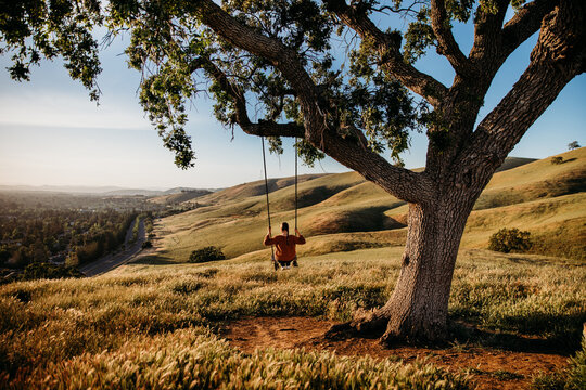 Young Woman on tree swing in rolling green hills