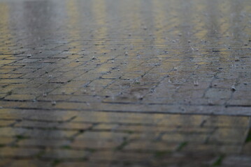 Rain on pavement as a close up