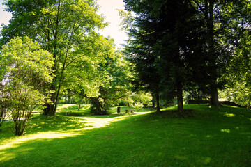Fototapeta na wymiar View of the park, in the manor of Bran Castle