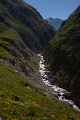 Fototapeta na wymiar Un torrent de montagne des alpes coule le long d'une vallée profonde et se reflete au soleil.