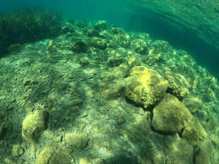 Underwater world of Mediterranean Sea.  Turkey - 624651912