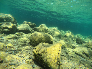Underwater world of Mediterranean Sea.  Turkey - 624651913