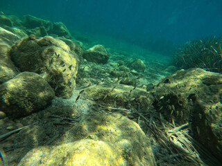 Underwater world of Mediterranean Sea.  Turkey - 624651942
