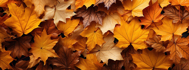 Naklejka na ściany i meble Autumn leaves background. AI