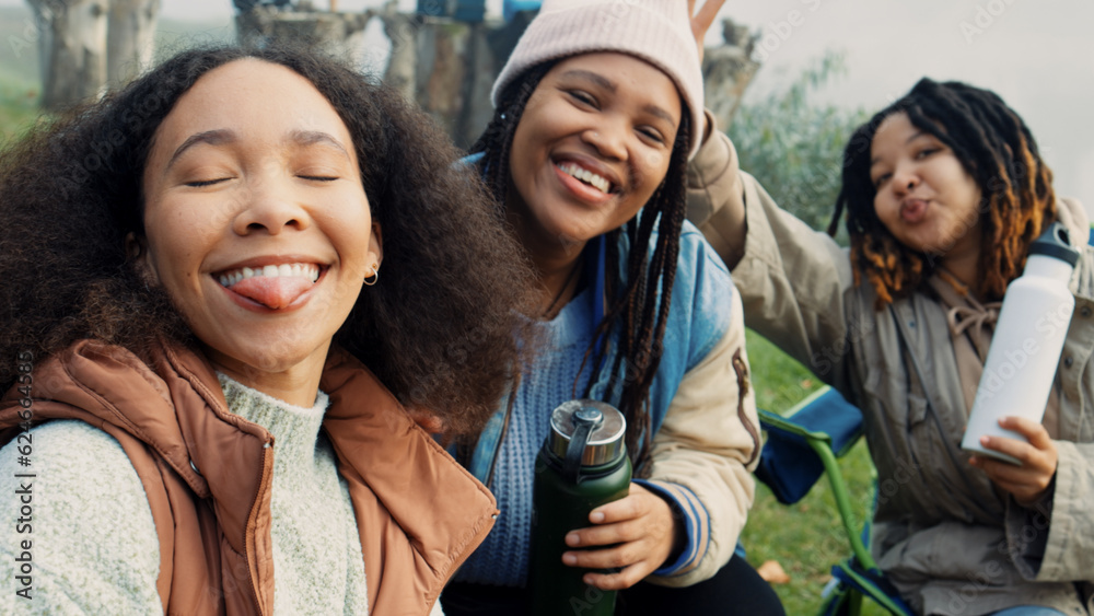 Poster Selfie, group of happy friends and camping adventure, hugging together with diversity and friendship. Smile on face, photography and women on nature camp to relax, laugh and outdoor winter vacation.