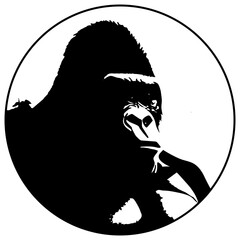 the gorilla vector illustration