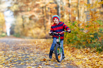 Naklejka premium Little kid boy in colorful warm clothes in autumn forest park driving a bicycle