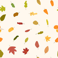 Minimal Autumn Background