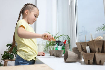 Obraz premium Little girl adding soil into peat pots on window sill indoors. Growing vegetable seeds