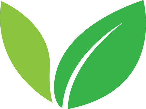 leaf tea, leaves icon, bio emoji, organic symbol