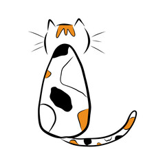 Cat is a cat and cat
