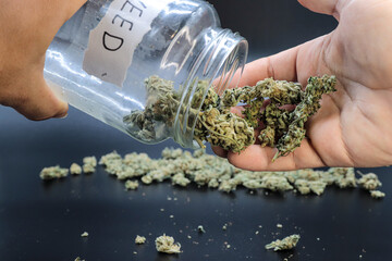 hand holding marijuana on a black background
concept of smoking and relaxing