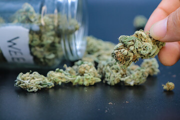 hand holding marijuana on a black background
concept of smoking and relaxing