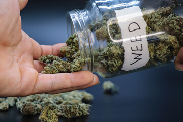 hand holding marijuana on a black background
concept of smoking and relaxing