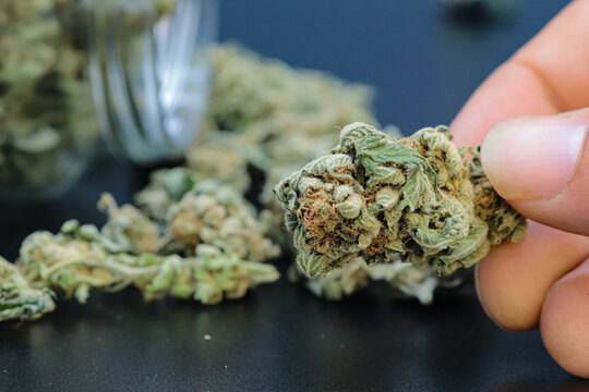 hand holding marijuana on a black background
concept of smoking and relaxing - Powered by Adobe