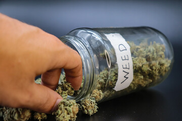 hand holding marijuana on a black background
concept of smoking and relaxing